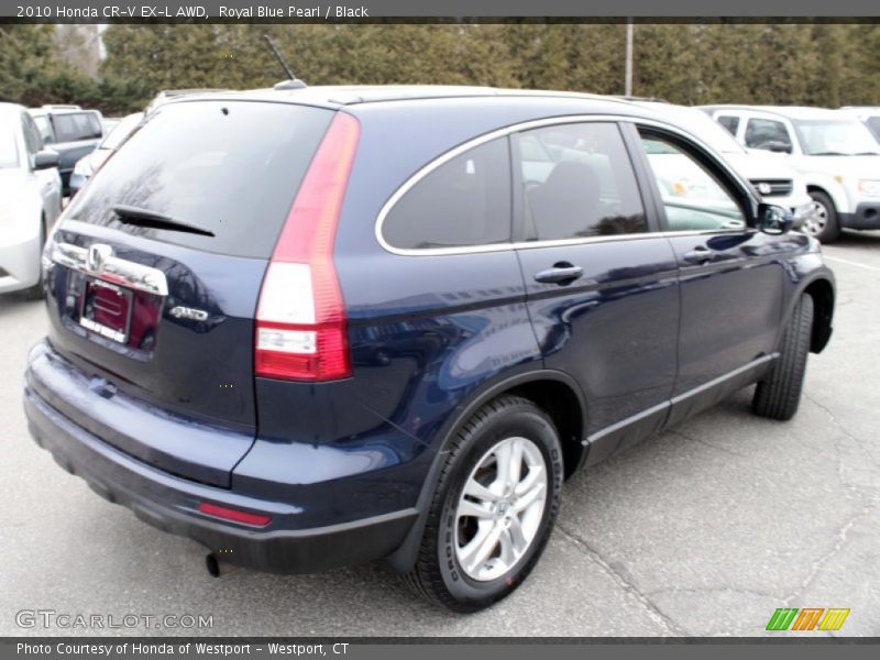 Royal Blue Pearl / Black 2010 Honda CR-V EX-L AWD
