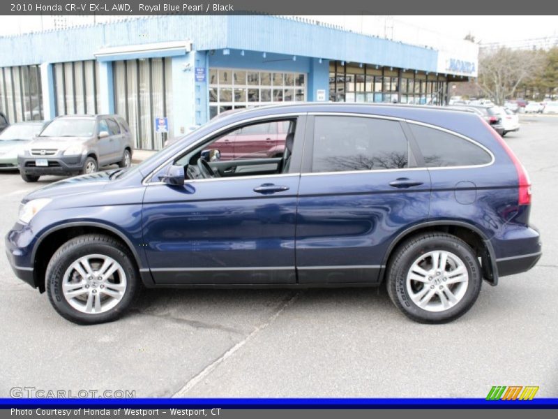 Royal Blue Pearl / Black 2010 Honda CR-V EX-L AWD