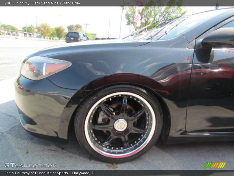 Black Sand Mica / Dark Gray 2005 Scion tC