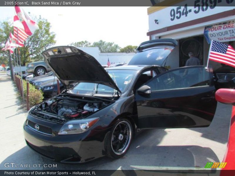 Black Sand Mica / Dark Gray 2005 Scion tC