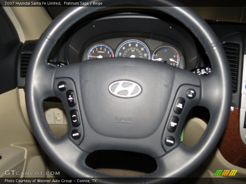 Platinum Sage / Beige 2007 Hyundai Santa Fe Limited