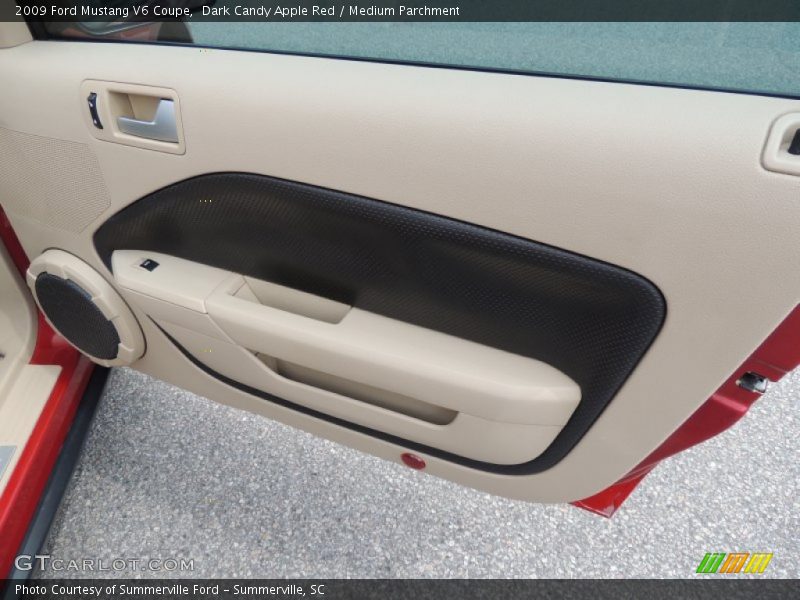 Door Panel of 2009 Mustang V6 Coupe