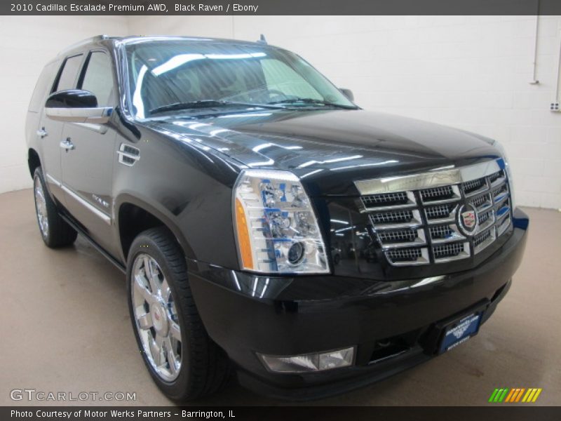 Black Raven / Ebony 2010 Cadillac Escalade Premium AWD