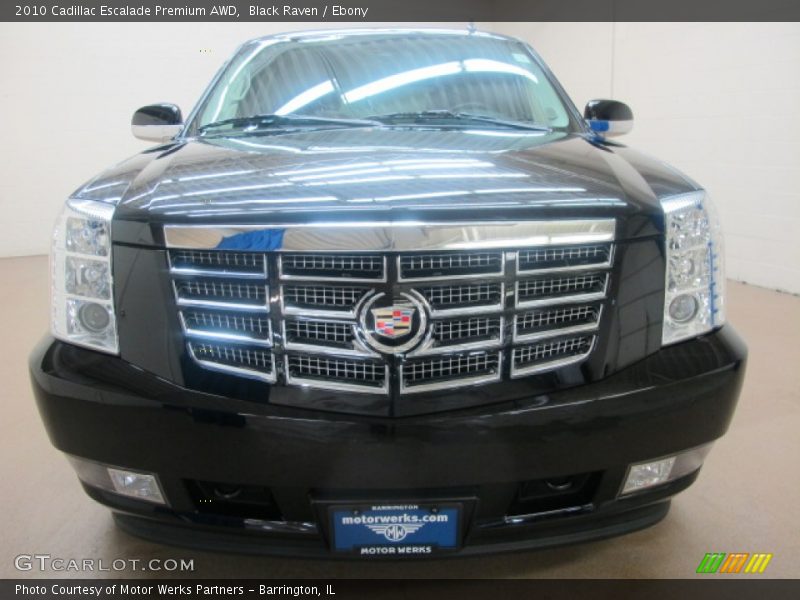 Black Raven / Ebony 2010 Cadillac Escalade Premium AWD