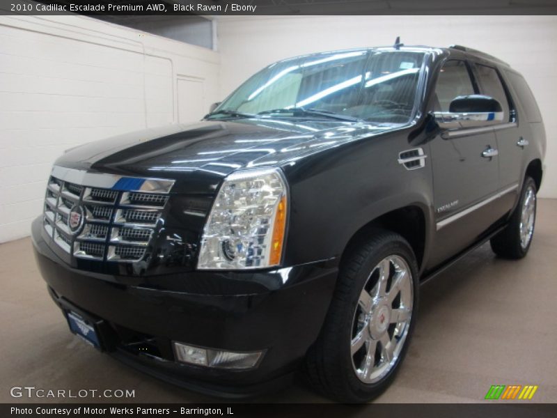 Black Raven / Ebony 2010 Cadillac Escalade Premium AWD