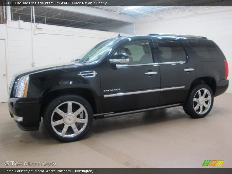 Black Raven / Ebony 2010 Cadillac Escalade Premium AWD