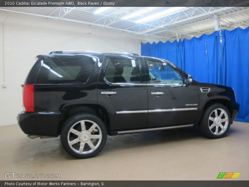 Black Raven / Ebony 2010 Cadillac Escalade Premium AWD