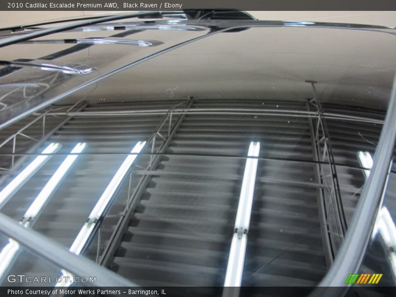 Black Raven / Ebony 2010 Cadillac Escalade Premium AWD