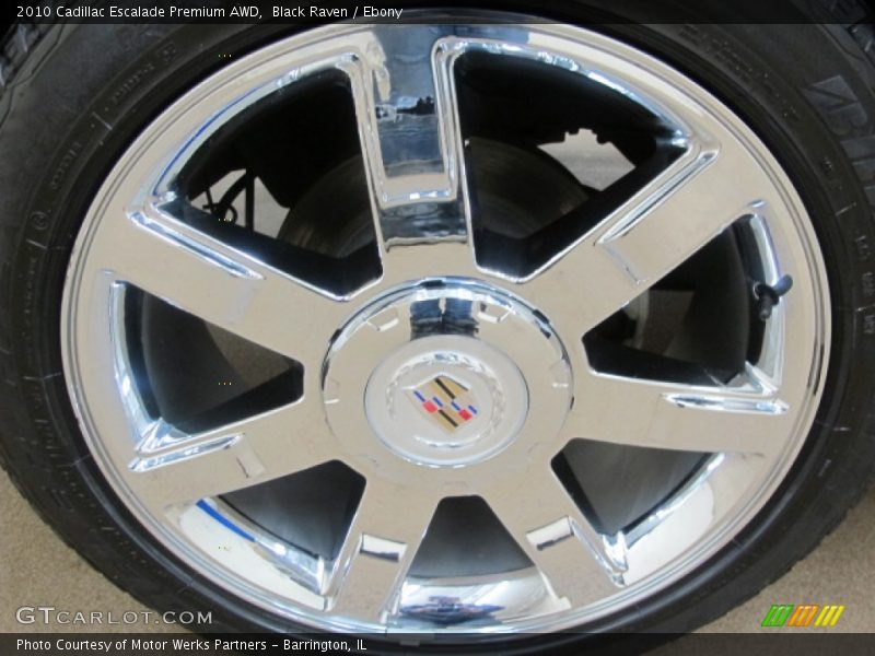 Black Raven / Ebony 2010 Cadillac Escalade Premium AWD