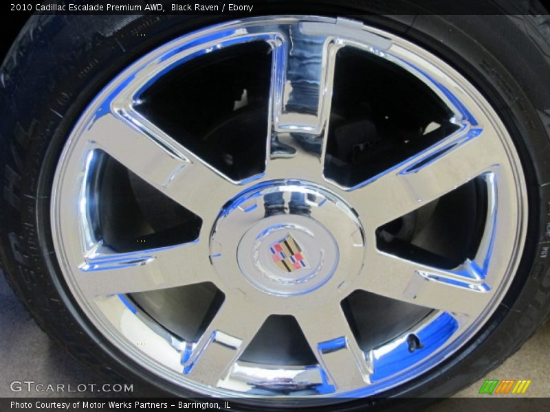 Black Raven / Ebony 2010 Cadillac Escalade Premium AWD