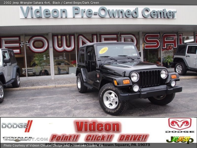 Black / Camel Beige/Dark Green 2002 Jeep Wrangler Sahara 4x4
