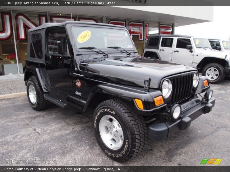 Black / Camel Beige/Dark Green 2002 Jeep Wrangler Sahara 4x4