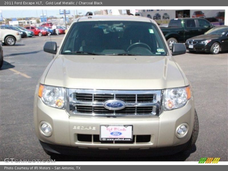 Gold Leaf Metallic / Charcoal Black 2011 Ford Escape XLT