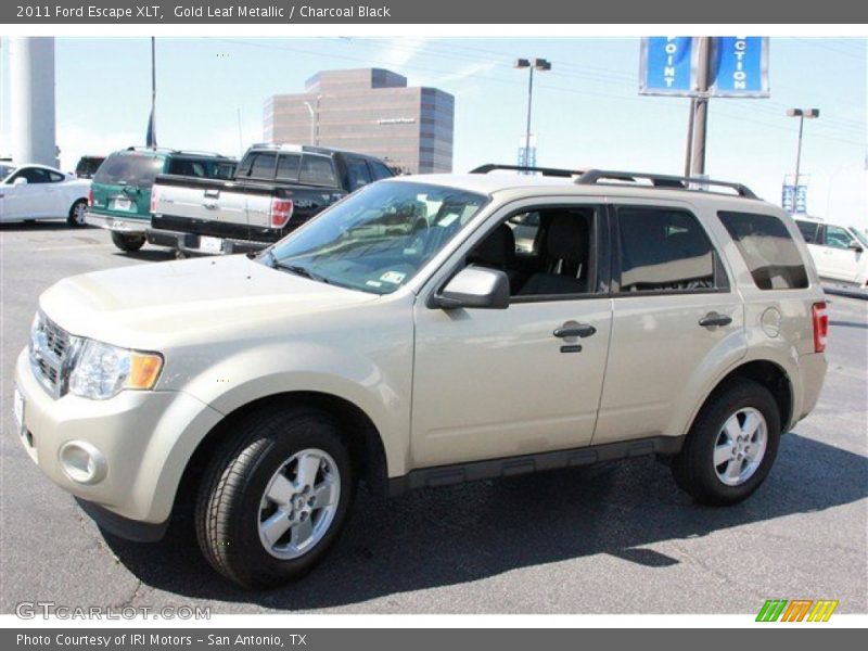 Gold Leaf Metallic / Charcoal Black 2011 Ford Escape XLT
