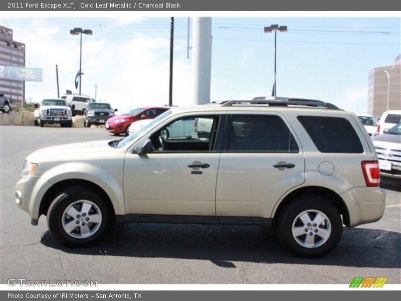 Gold Leaf Metallic / Charcoal Black 2011 Ford Escape XLT