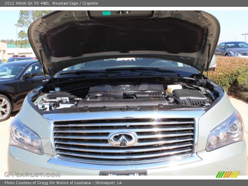 Mountain Sage / Graphite 2012 Infiniti QX 56 4WD