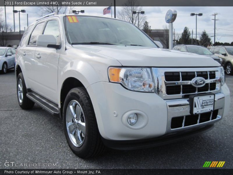 White Suede / Camel 2011 Ford Escape Limited 4WD