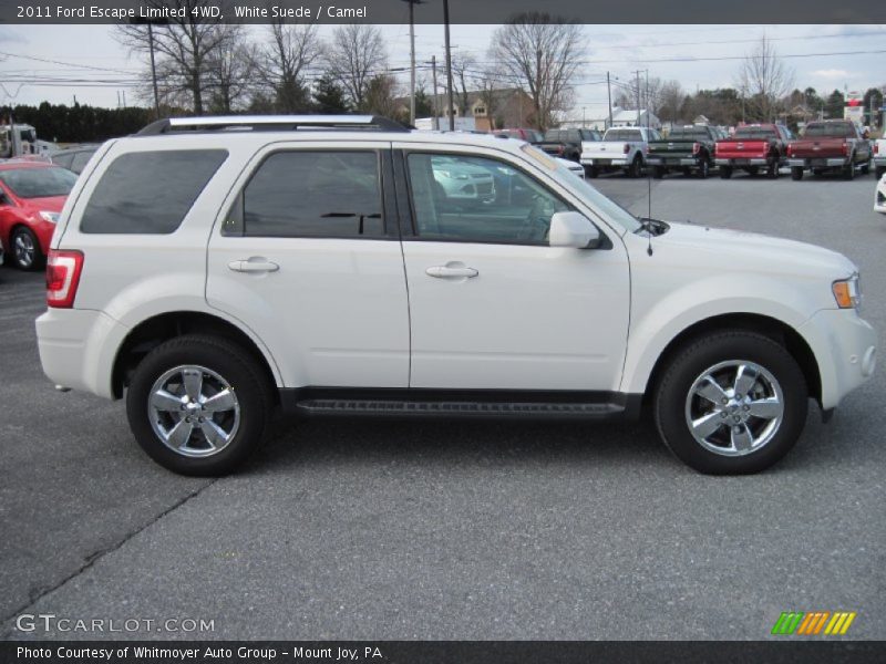 White Suede / Camel 2011 Ford Escape Limited 4WD