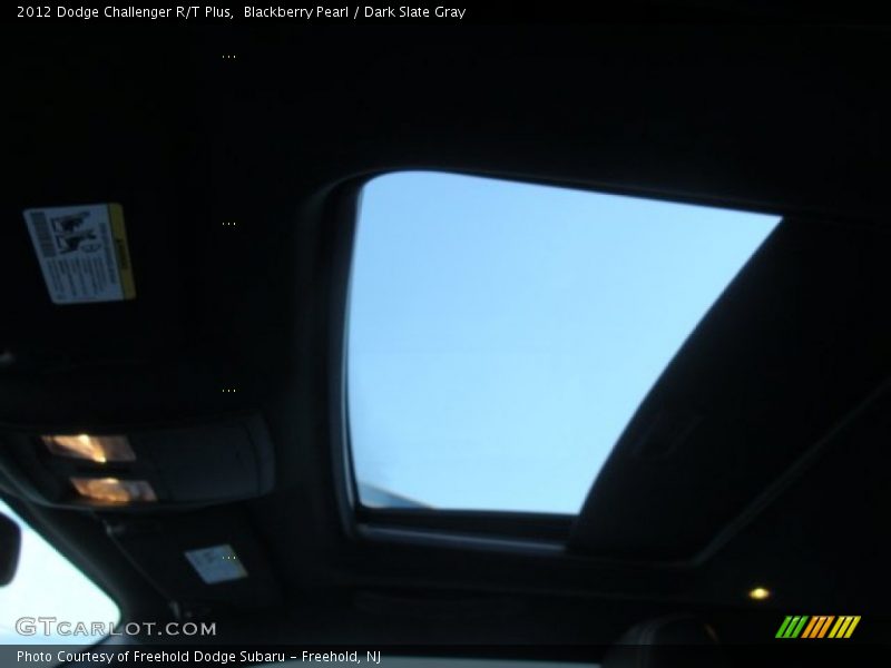 Blackberry Pearl / Dark Slate Gray 2012 Dodge Challenger R/T Plus