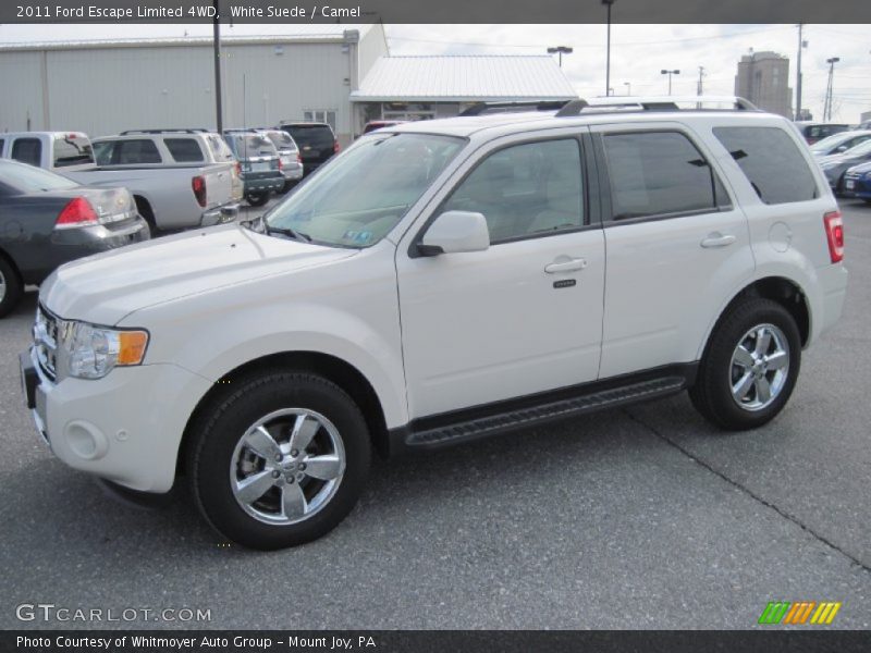 White Suede / Camel 2011 Ford Escape Limited 4WD