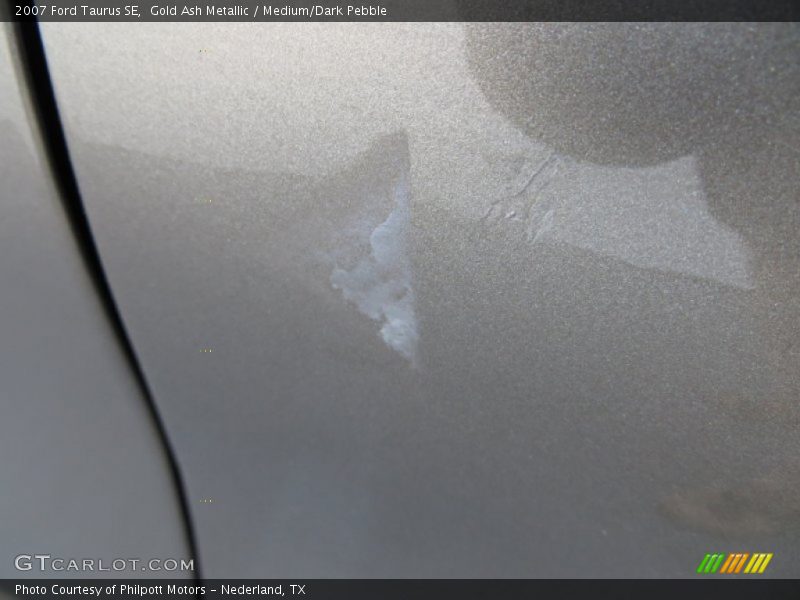 Gold Ash Metallic / Medium/Dark Pebble 2007 Ford Taurus SE