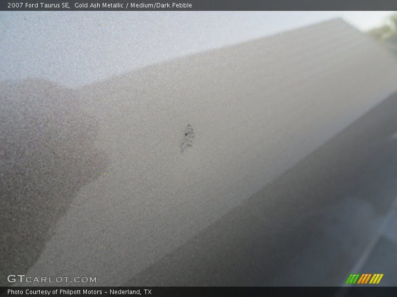 Gold Ash Metallic / Medium/Dark Pebble 2007 Ford Taurus SE