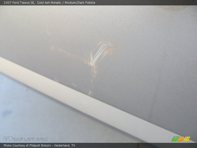 Gold Ash Metallic / Medium/Dark Pebble 2007 Ford Taurus SE
