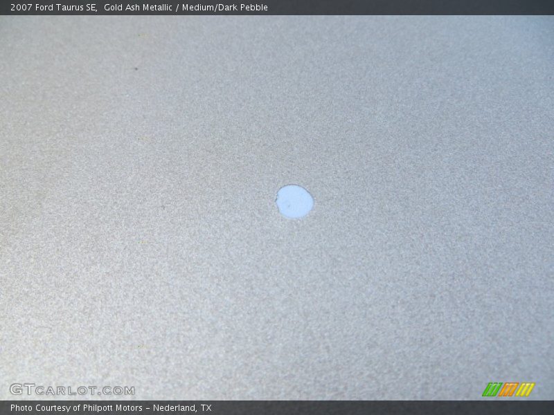 Gold Ash Metallic / Medium/Dark Pebble 2007 Ford Taurus SE