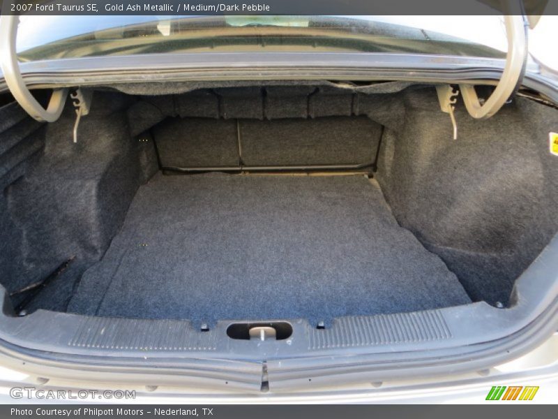 Gold Ash Metallic / Medium/Dark Pebble 2007 Ford Taurus SE