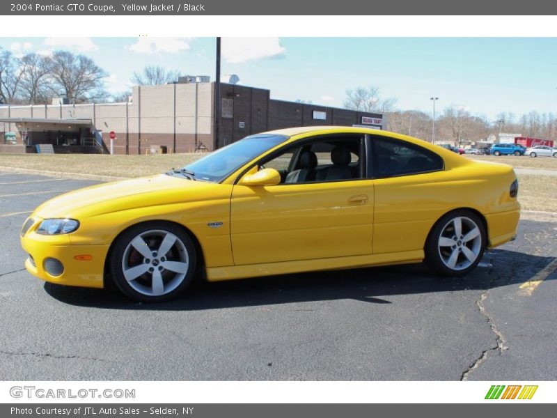 Yellow Jacket / Black 2004 Pontiac GTO Coupe