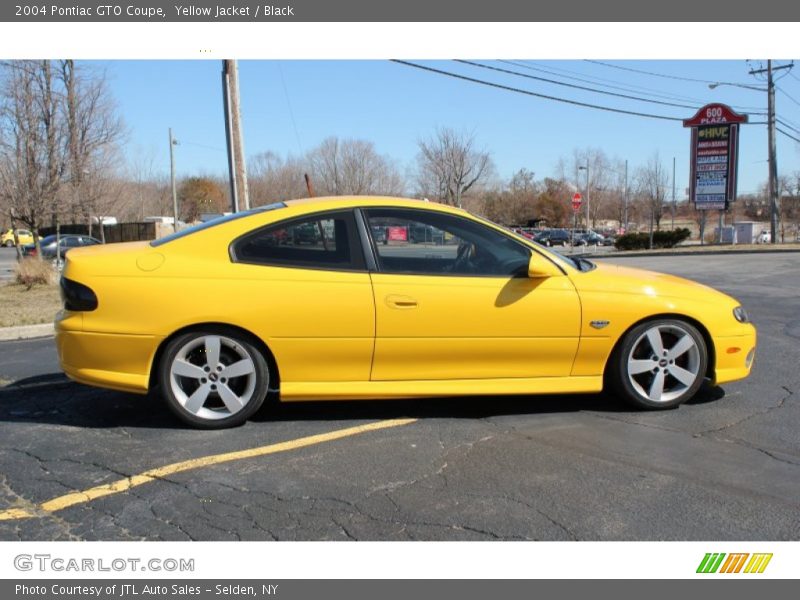 Yellow Jacket / Black 2004 Pontiac GTO Coupe