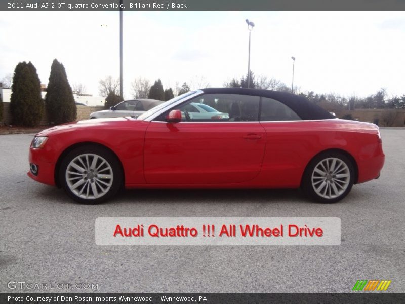Brilliant Red / Black 2011 Audi A5 2.0T quattro Convertible