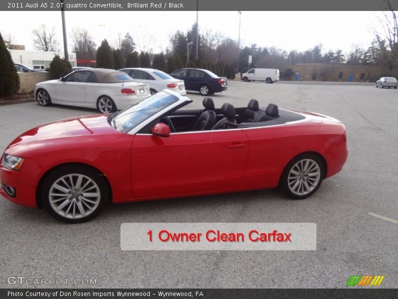 Brilliant Red / Black 2011 Audi A5 2.0T quattro Convertible