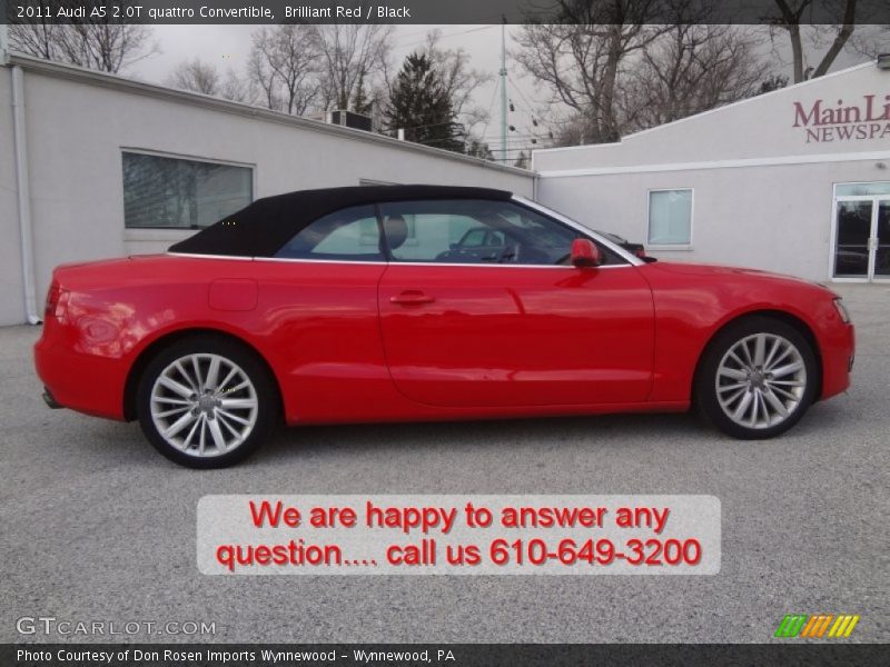 Brilliant Red / Black 2011 Audi A5 2.0T quattro Convertible