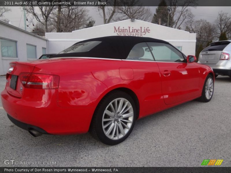 Brilliant Red / Black 2011 Audi A5 2.0T quattro Convertible