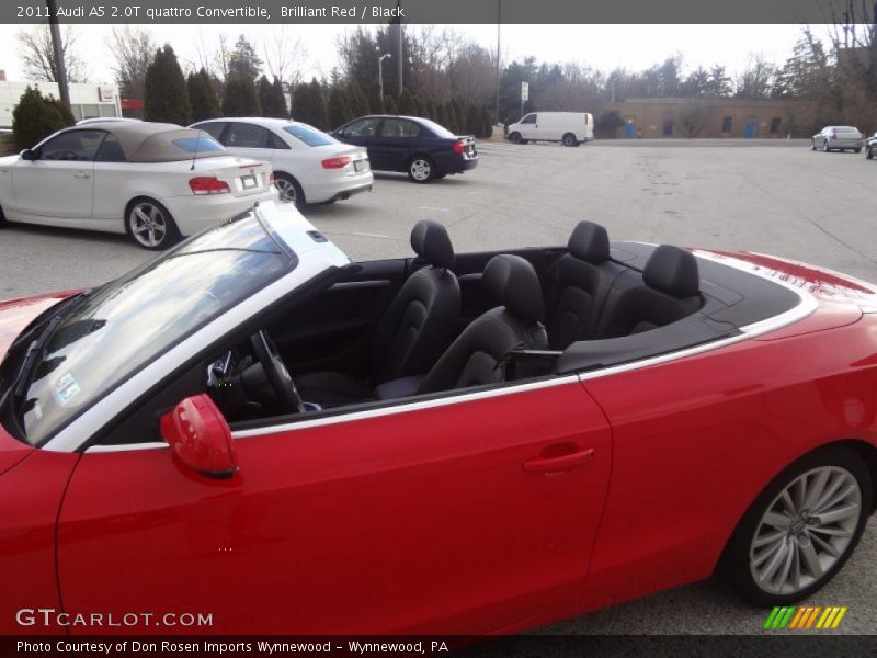 Brilliant Red / Black 2011 Audi A5 2.0T quattro Convertible