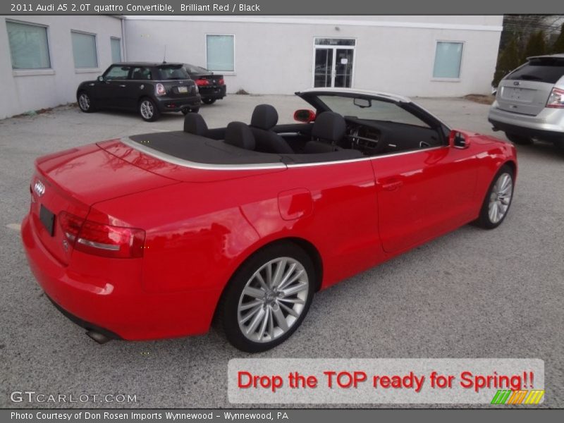 Brilliant Red / Black 2011 Audi A5 2.0T quattro Convertible
