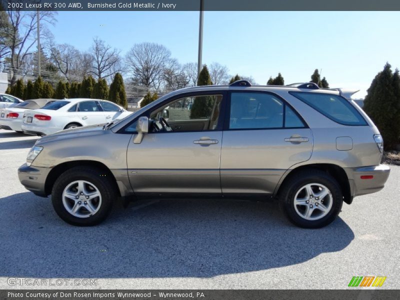 Burnished Gold Metallic / Ivory 2002 Lexus RX 300 AWD