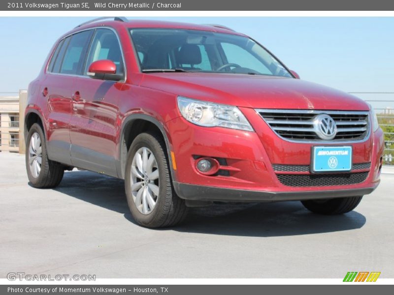 Wild Cherry Metallic / Charcoal 2011 Volkswagen Tiguan SE