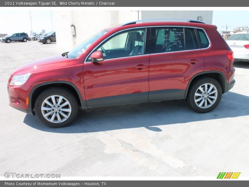 Wild Cherry Metallic / Charcoal 2011 Volkswagen Tiguan SE