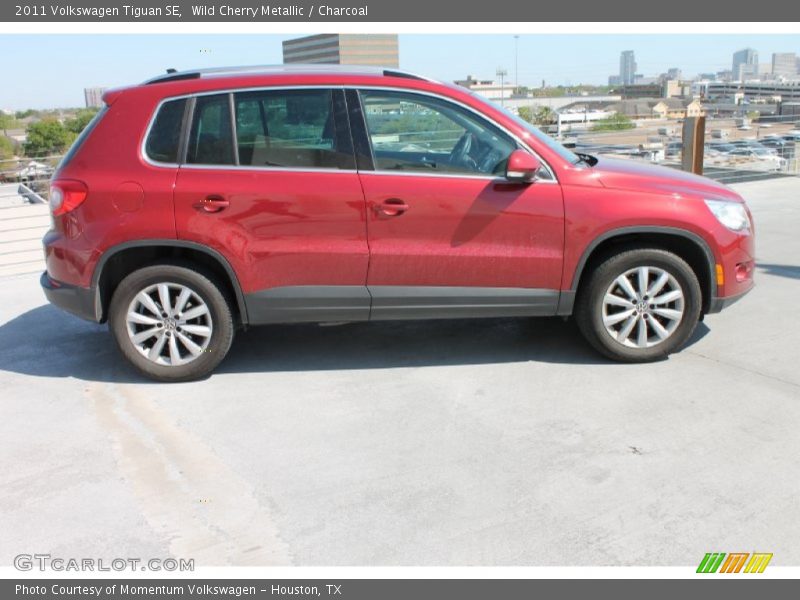 Wild Cherry Metallic / Charcoal 2011 Volkswagen Tiguan SE
