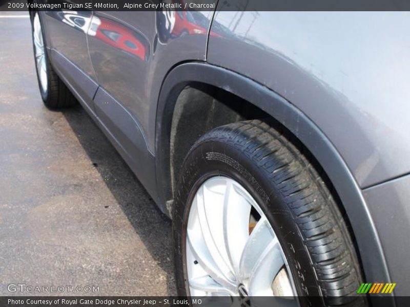 Alpine Grey Metallic / Charcoal 2009 Volkswagen Tiguan SE 4Motion