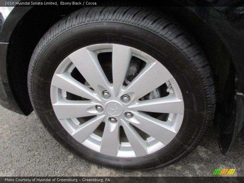 Ebony Black / Cocoa 2010 Hyundai Sonata Limited