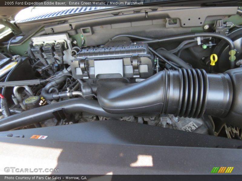 Estate Green Metallic / Medium Parchment 2005 Ford Expedition Eddie Bauer