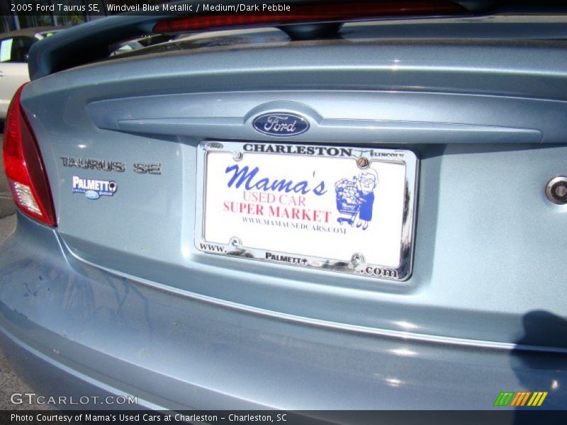 Windveil Blue Metallic / Medium/Dark Pebble 2005 Ford Taurus SE