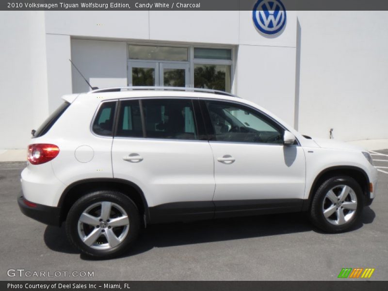 Candy White / Charcoal 2010 Volkswagen Tiguan Wolfsburg Edition