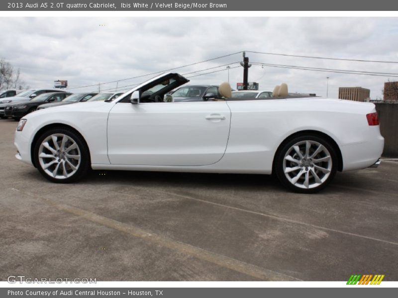 Ibis White / Velvet Beige/Moor Brown 2013 Audi A5 2.0T quattro Cabriolet