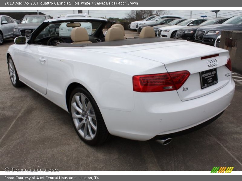 Ibis White / Velvet Beige/Moor Brown 2013 Audi A5 2.0T quattro Cabriolet