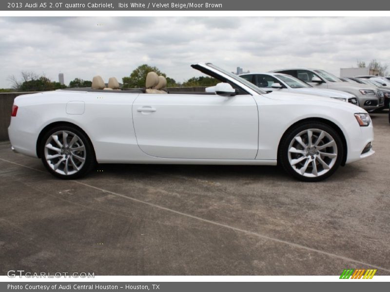 Ibis White / Velvet Beige/Moor Brown 2013 Audi A5 2.0T quattro Cabriolet