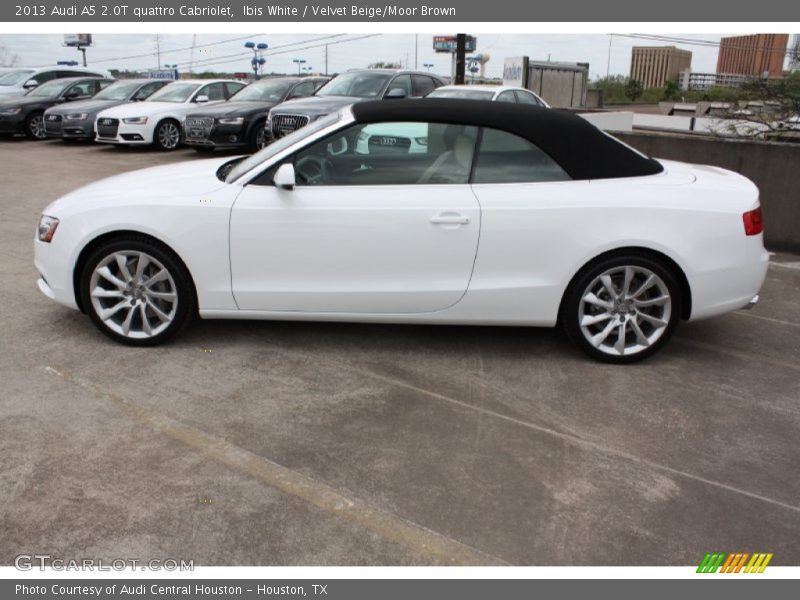 Ibis White / Velvet Beige/Moor Brown 2013 Audi A5 2.0T quattro Cabriolet